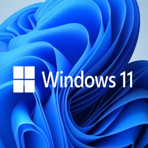 Windows 11 Pro Retail CD Key
